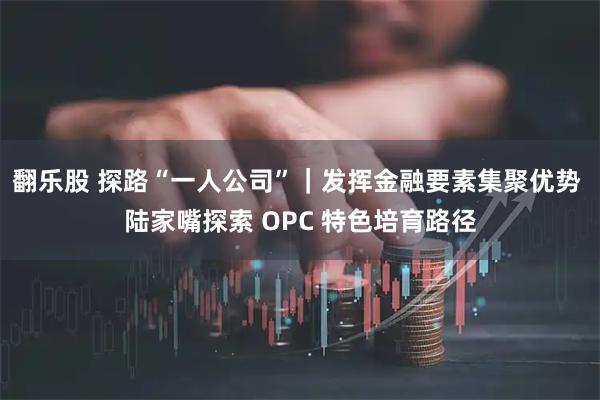 翻乐股 探路“一人公司”｜发挥金融要素集聚优势 陆家嘴探索 OPC 特色培育路径