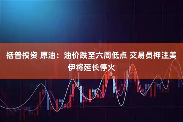 括普投资 原油：油价跌至六周低点 交易员押注美伊将延长停火