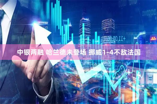 中银两融 哈兰德未登场 挪威1-4不敌法国