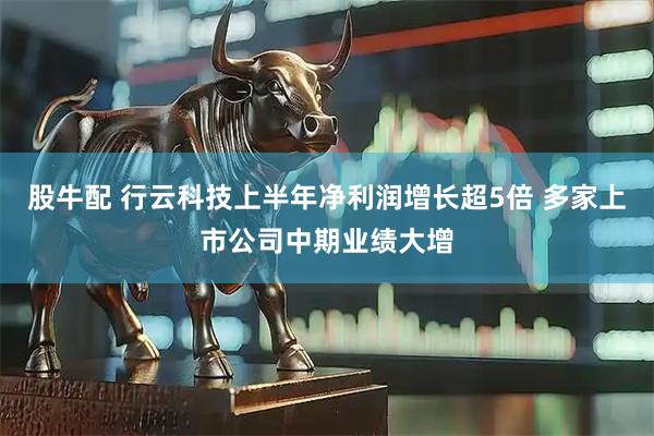 股牛配 行云科技上半年净利润增长超5倍 多家上市公司中期业绩大增