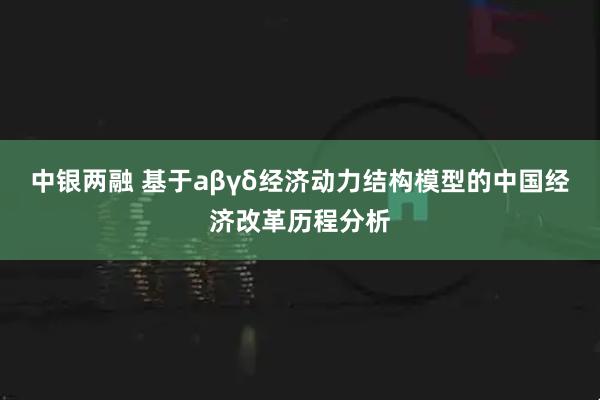 中银两融 基于aβγδ经济动力结构模型的中国经济改革历程分析