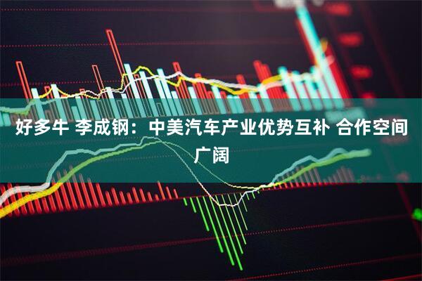好多牛 李成钢：中美汽车产业优势互补 合作空间广阔