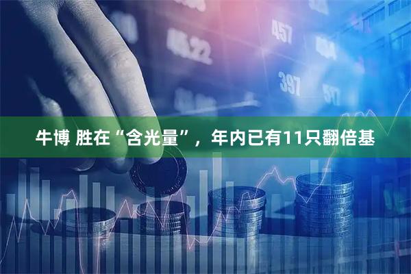 牛博 胜在“含光量”，年内已有11只翻倍基