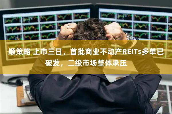 顺策略 上市三日，首批商业不动产REITs多单已破发，二级市场整体承压