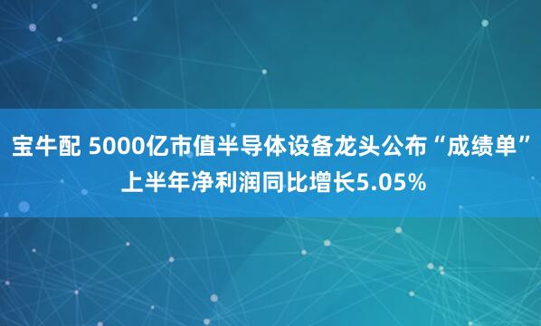 宝牛配 5000亿市值半导体设备龙头公布“成绩单” 上半年净利润同比增长5.05%